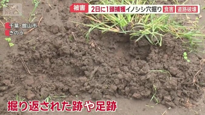 掘り返された跡など