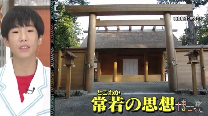 芦田愛菜も興味津々！20年ごとに社殿を引っ越し…伊勢神宮の「式年遷宮」を解説 3枚目