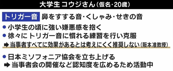 「理性がなくなったら自分がどうなるかわからない」咀嚼音、咳、くしゃみ…“特定の音”に激しい怒り ミソフォニア（音嫌悪症）の実態 5枚目