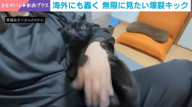 あさりちゃん