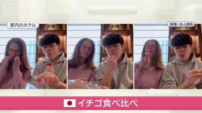 イチゴの食べ比べ