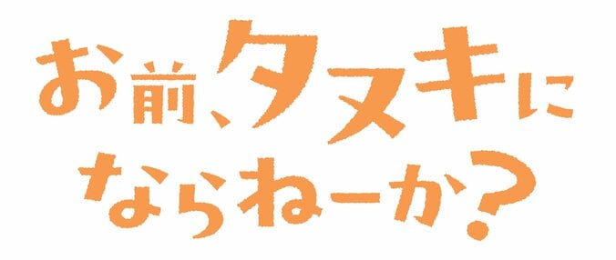 『お前、タヌキにならねーか？』TVアニメ化決定！ティザービジュアル＆特報解禁、監督に神谷純 4枚目
