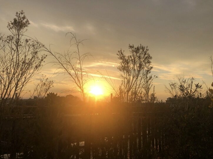 市川海老蔵、父・團十郎さんを看取った時の思い出を語る「戻ったくらいから容態悪くなり」