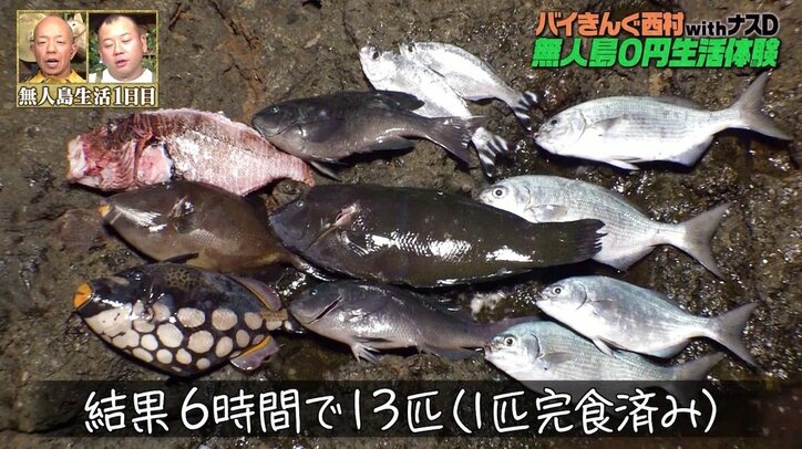 無人島生活は思いの外「忙しい」バイきんぐ西村、沈む夕陽に黄昏る