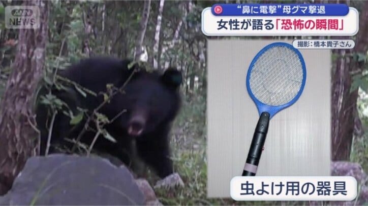 虫よけ用の器具をクマの鼻に