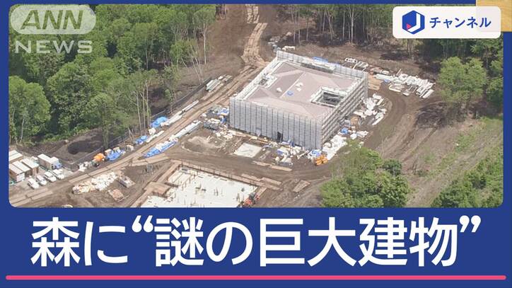森に“謎の巨大建物”正体は？　木を違法伐採で…誰が？何のため？