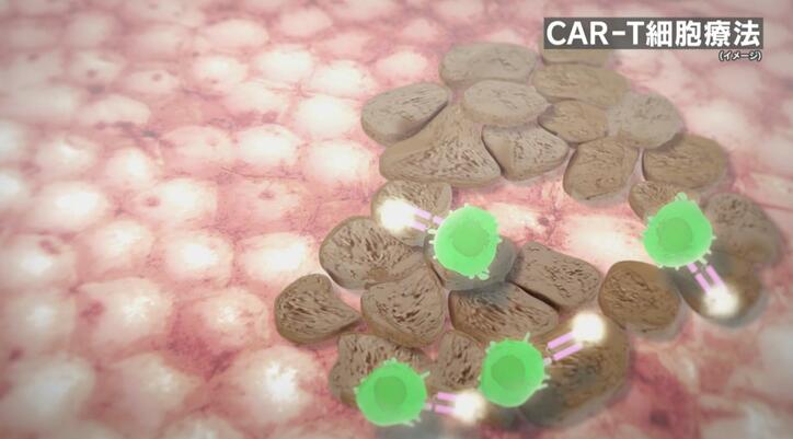 【写真・画像】小児がんと闘う9歳の少女、日本では“救えない“幼い命…医師の苦悩と奮闘 「1日でも早く、国内で最新の治療を」 5枚目