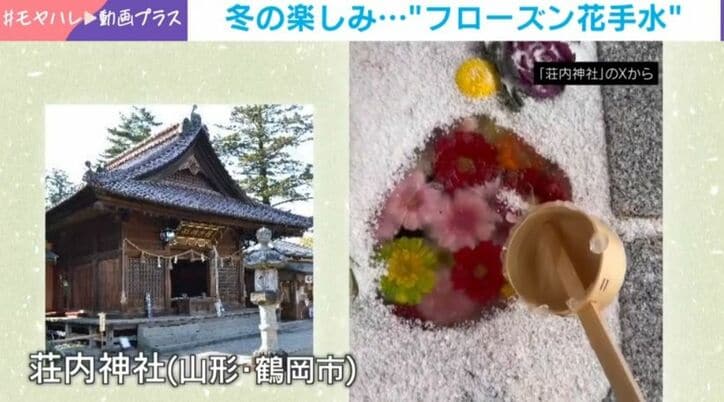 フローズン花手水