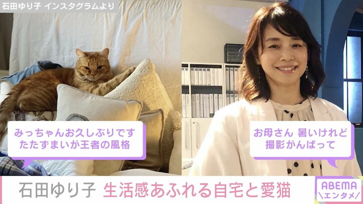 石田ゆり子、自宅の“洗濯物の山”&愛猫公開「おかーさんは毎日、撮影の日々」