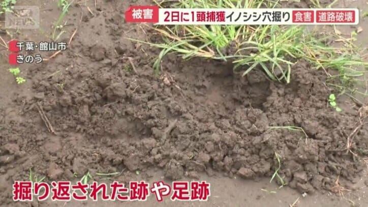 掘り返された跡など
