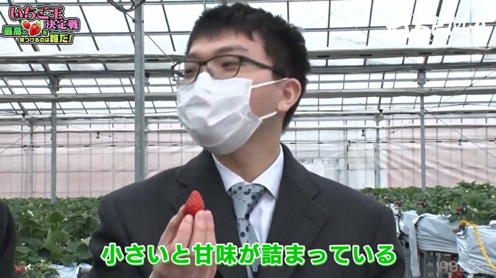 永瀬拓矢王座が新タイトル獲得？大好きイチゴ狩りにテンションMAX「私がいちご王です」ファンは爆笑「負けず嫌いすぎw」／将棋・ABEMAトーナメント