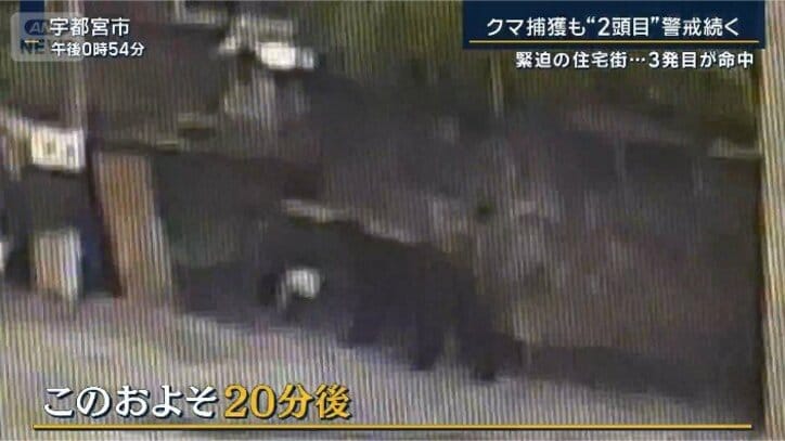カメラの映像