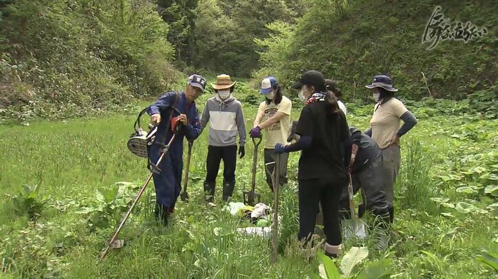 「私の仕事って何だっけ…」コロナ禍で苦境に立たされる劇団、舞台から届けたい想い