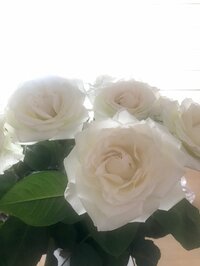 稲垣吾郎『白い空を見上げて』