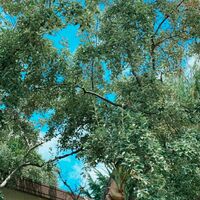 野呂佳代『健康が1番ですね。』