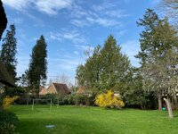 中村江里子『厳しい言葉でしたが。』