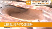 「福島の魚を食べて応援したい」 ふるさと納税「10倍」も 処理水の風評被害