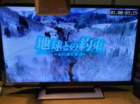 戸田恵子『いつかなんてないのだ。』