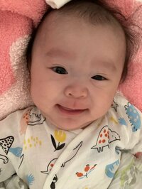 キンタロー。旦那『もうベテランの域！？なんなく【ハイハイチャレンジ】をこなす。』