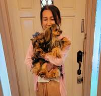 モト冬樹『妻が帰ってきました』