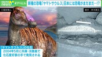 【映像】日本にはまだ“恐竜”が眠っている? 新種発見で話題