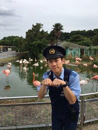 横山だいすけ『ミーアキャットが…』