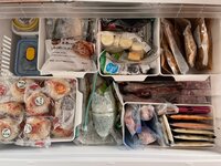 高橋真麻『今日はドタバタだよ！！（笑）』