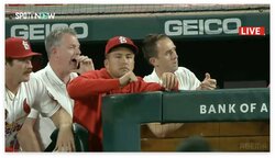 「あ、ヌートバーおった！」故障者リスト入りもベンチ最前列で応援する姿に“ヌートバーロス”の視聴者も反応