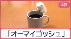 「ダイソー」「スリコ」「ロフト」最新便利グッズ　外国人が絶賛！人気ランキング発表