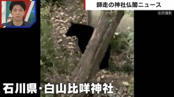 クマが神社仏閣にも出没し壁を破壊… 仏教専門誌「月刊住職」が創刊初の“クマ特集”で注意喚起