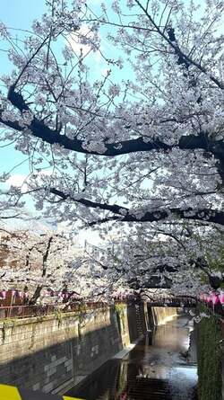  みきママ、家出していた次男が帰宅したことを報告「一安心です」の声 