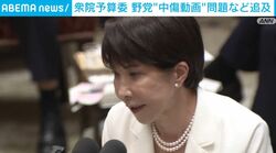 衆院予算委 野党 “中傷動画”問題など追及