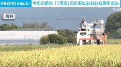 今年の新米 「1等米」の比率はおおむね例年並み