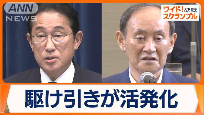岸田総理、自民総裁選に意欲も…若手から疑問の声「軽々しく口にすることではなく」 1枚目