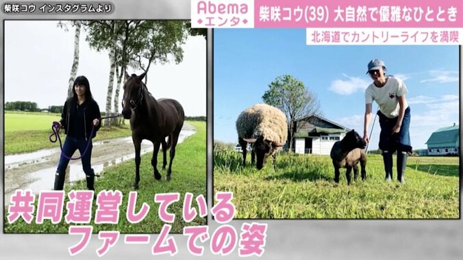 柴咲コウ、大自然で動物と触れ合う様子に「こういう生活憧れる」「笑顔癒されます」と反響 1枚目