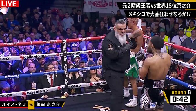 ようやくレフェリーが止める