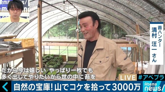 カブトムシやコケを売って年間3000万円の売上も…日本の山が持つ意外なポテンシャル 9枚目