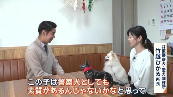 なぜ警察犬に？