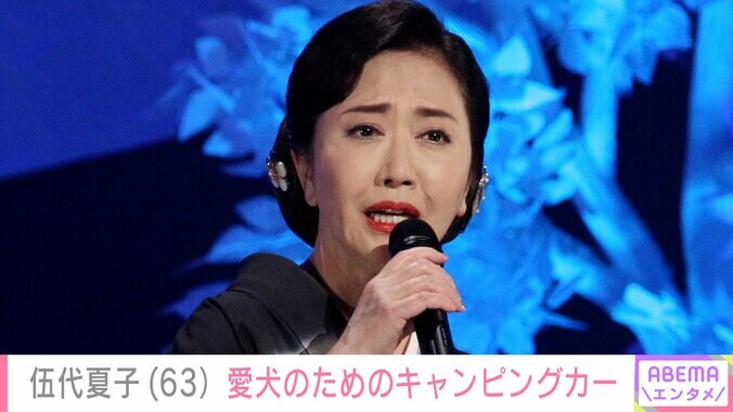 【写真・画像】伍代夏子（63）車両本体価格約800万円！愛犬との旅のために購入したキャンピングカーを披露「最高級ハイエースキャンピングカー最高ですね」　1枚目