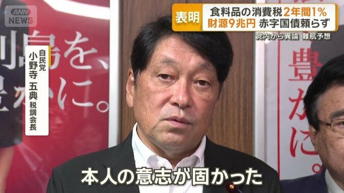 小野寺五典税調会長