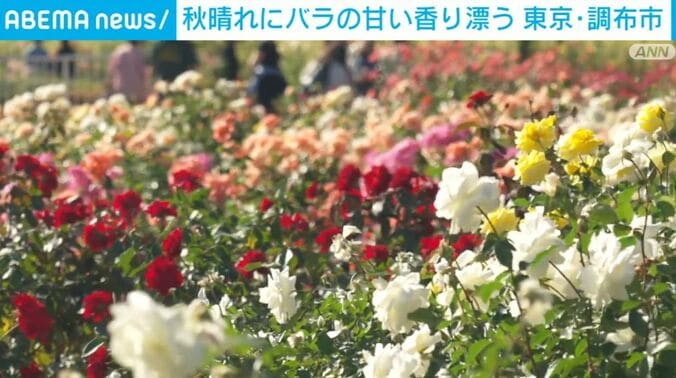 神代植物公園