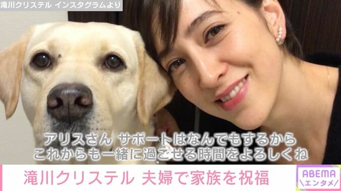 滝川クリステル&小泉進次郎、家族で愛犬の誕生日を祝福「人間の歳でいうと、ゆうに100歳は超えています」 1枚目