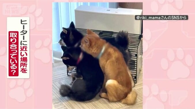 なぜ、こんなにくっついてるの？