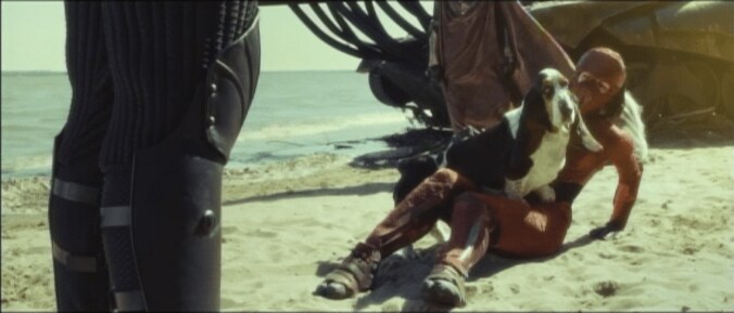 犬好き必見の映画が公開中　かわいらしい瞳と耳のバセット・ハウンドとは？ 7枚目