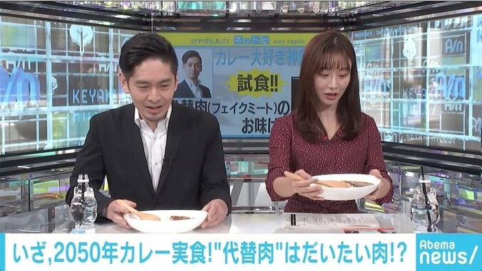 柴田阿弥絶賛！ 「2050年問題」に由来した“未来の激辛カレー” 4枚目