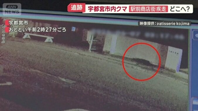 防犯カメラが姿を捉えた