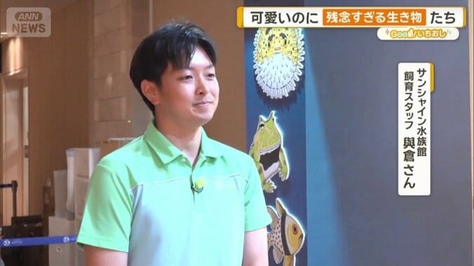 サンシャイン水族館　飼育スタッフ　與倉陵太さん