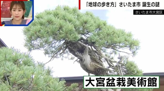 大宮盆栽美術館