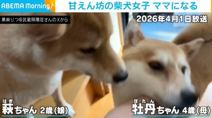 萩ちゃんと牡丹ちゃん