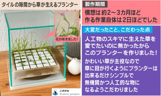 タイルの隙間から草が生えるプランター